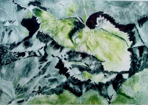 Sheila Clark  'Butter Burr Leaves' collagraph