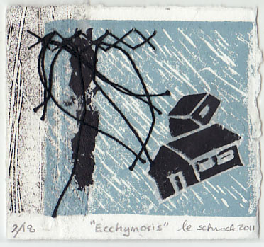 le-Schrock-Idaho-Ecchymosis